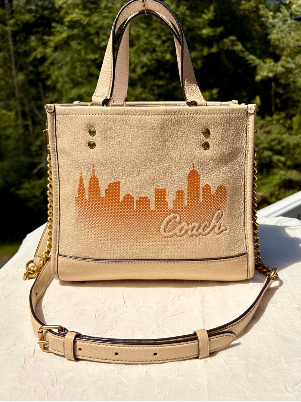 COACH X Jennifer Lopez Dempsey Tote Bag 22 With NYC Skyline C6494
